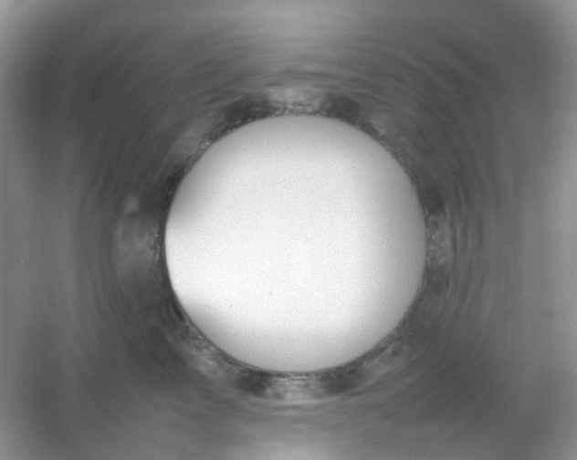 X0000054330713200508111919.png