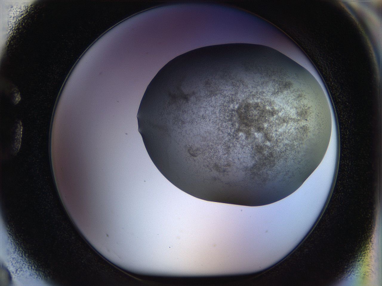 056m_G3_ImagerDefaults_2.jpg