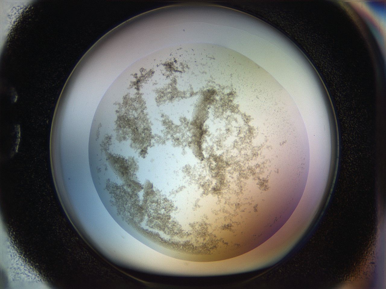 056m_G4_ImagerDefaults_3.jpg