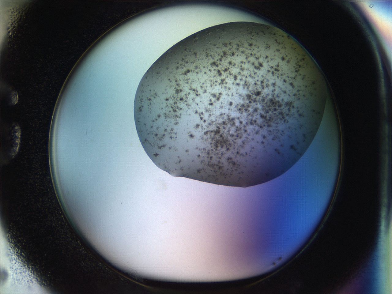 056m_G5_ImagerDefaults_6.jpg