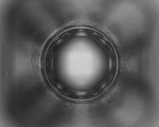 X0000047470788200503091558.png