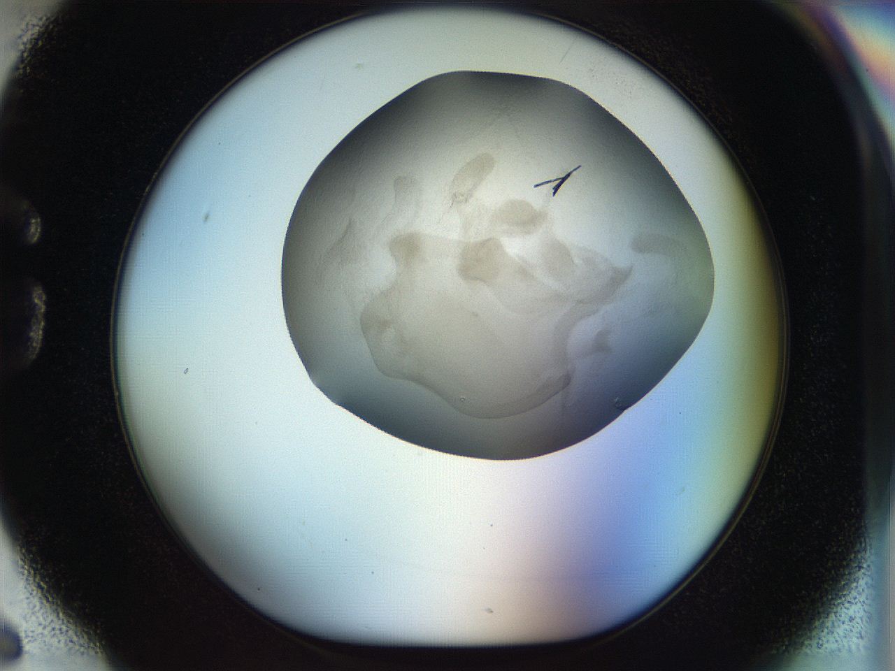 056m_G6_ImagerDefaults_6.jpg