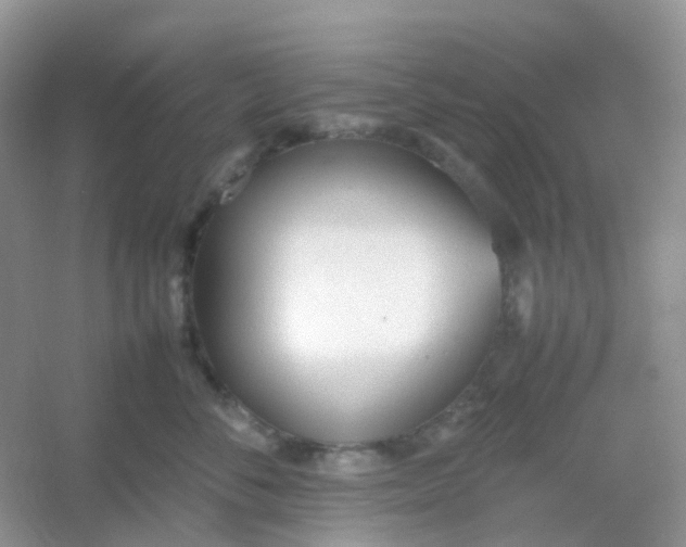 X0000054330716200508111919.png