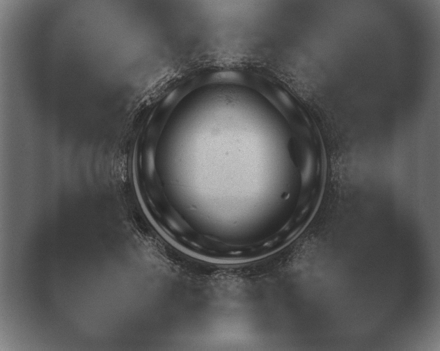 X0000040560648200411021430.png
