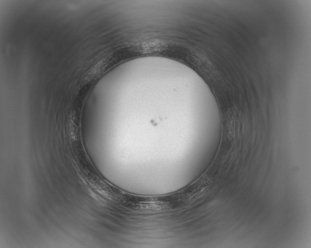 X0000055210316200508301328.png