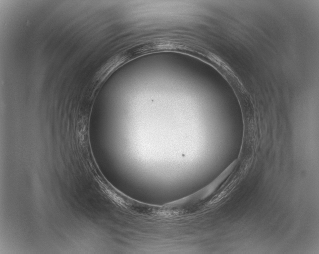 X0000055060801200508161644.png