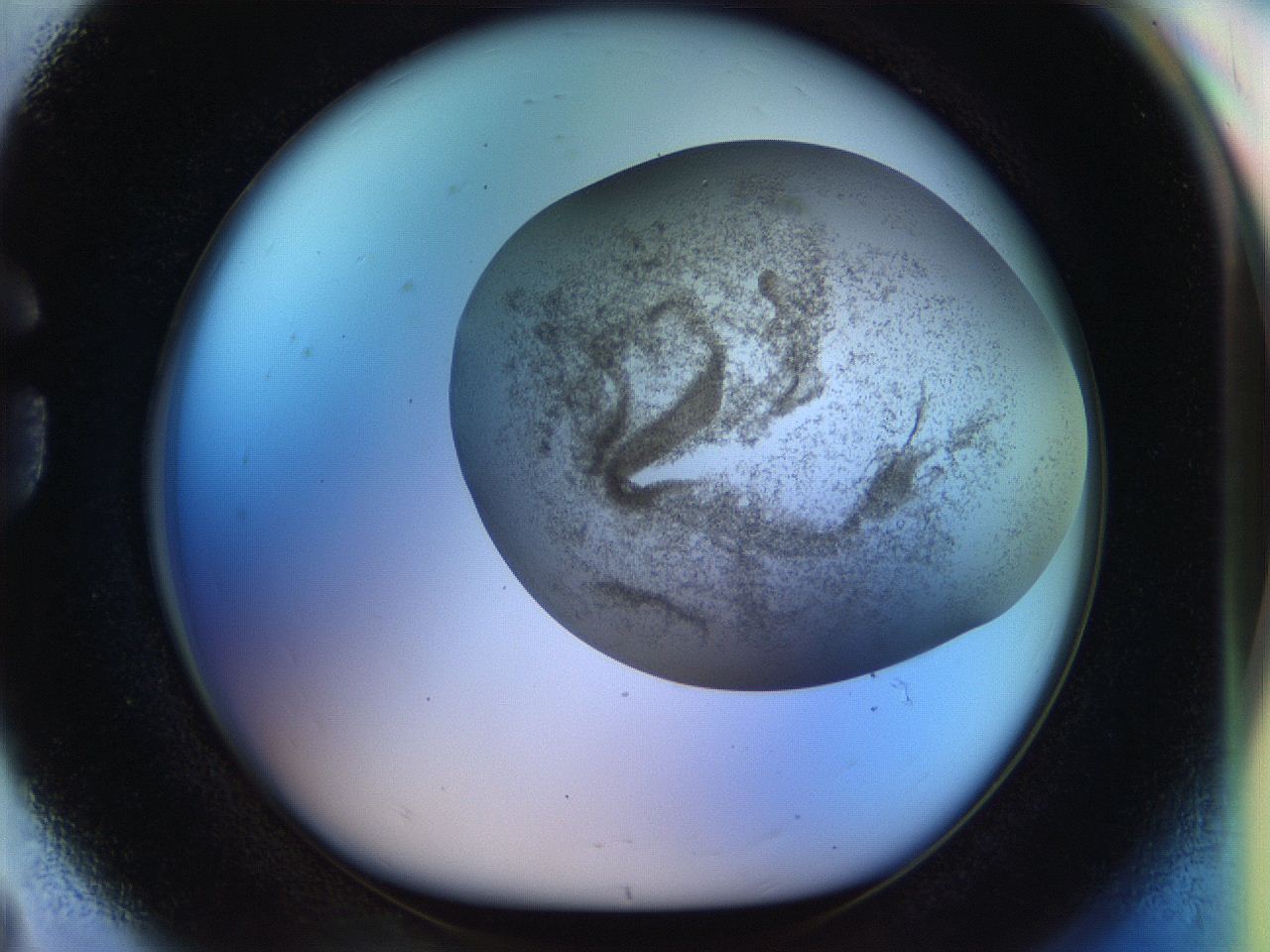 056m_G8_ImagerDefaults_3.jpg
