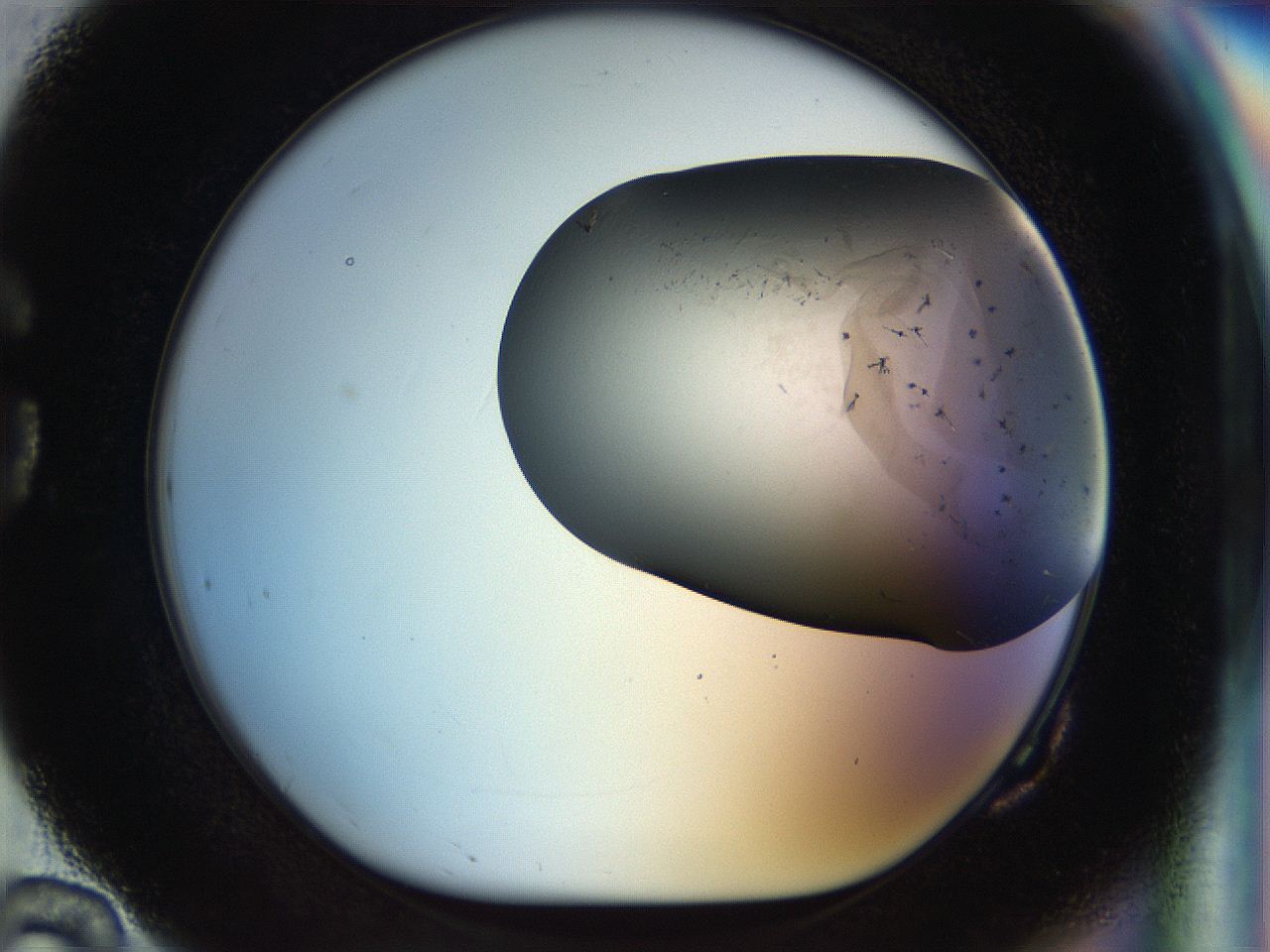 056m_G10_ImagerDefaults_6.jpg