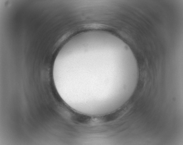 X0000054330111200508111929.png
