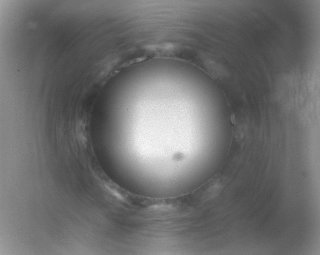 X0000054331010200508111913.png