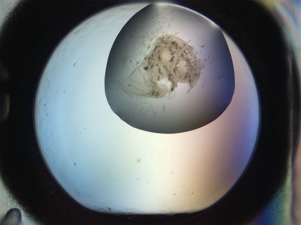 056m_G11_ImagerDefaults_6.jpg