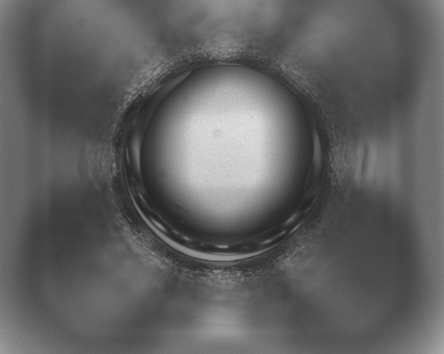 X0000038920494200409291009.png