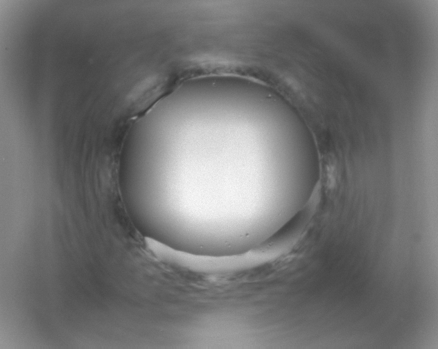 X0000054331157200508111911.png