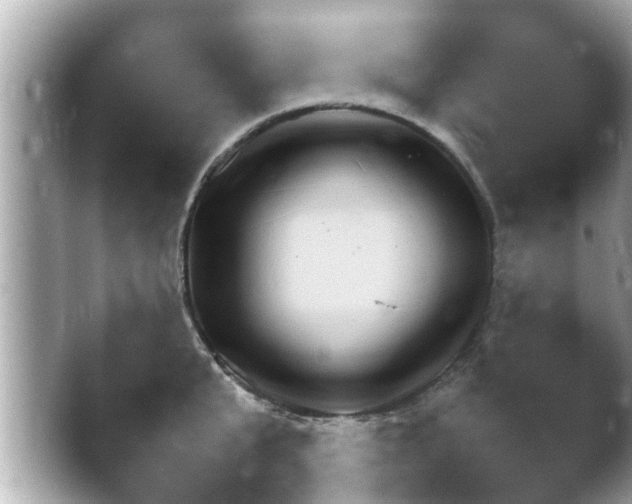 X0000048270807200503171916.png