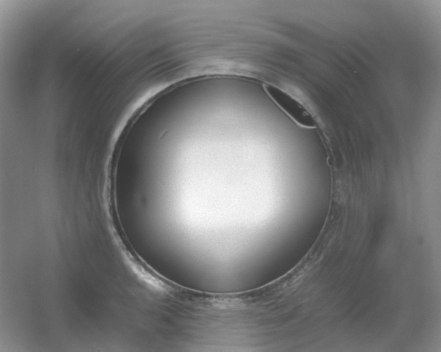 X0000054331136200508111912.png