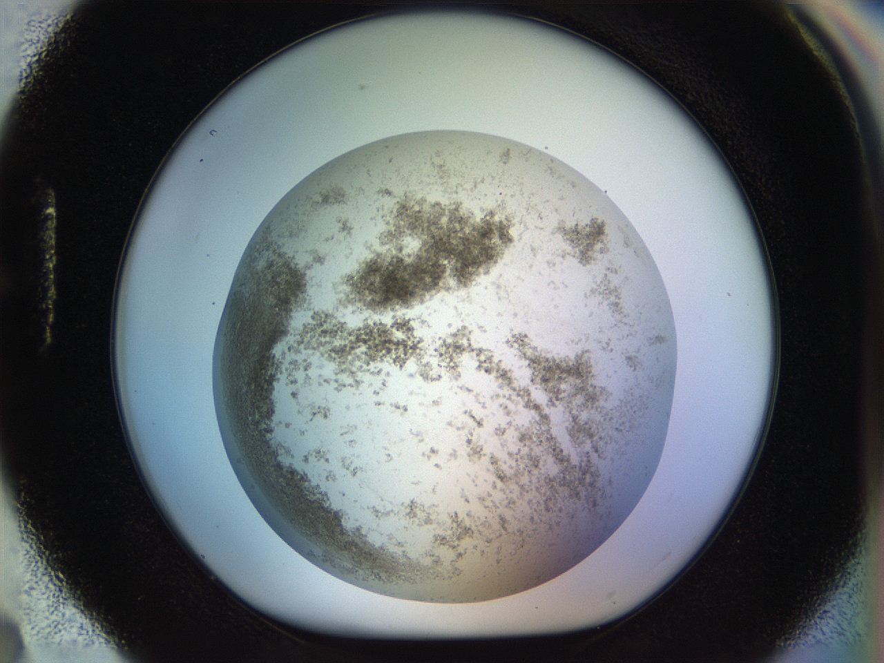 056m_H4_ImagerDefaults_3.jpg