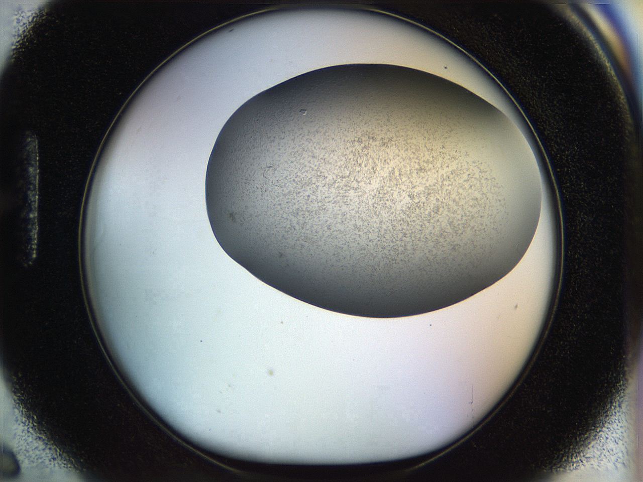 056m_H6_ImagerDefaults_2.jpg