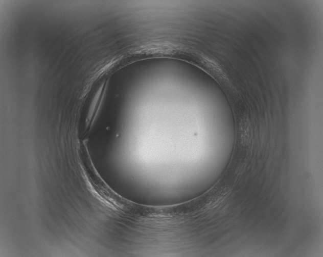 X0000055210538200508301324.png