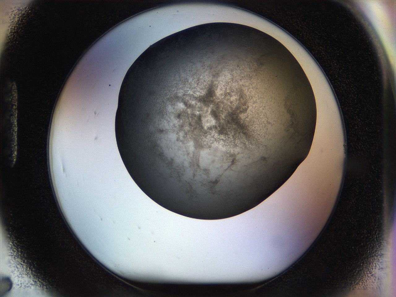 056m_H7_ImagerDefaults_3.jpg