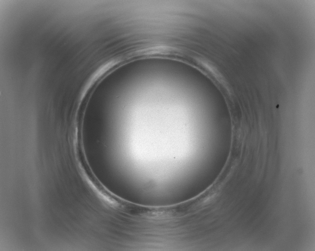 X0000054331418200508111907.png