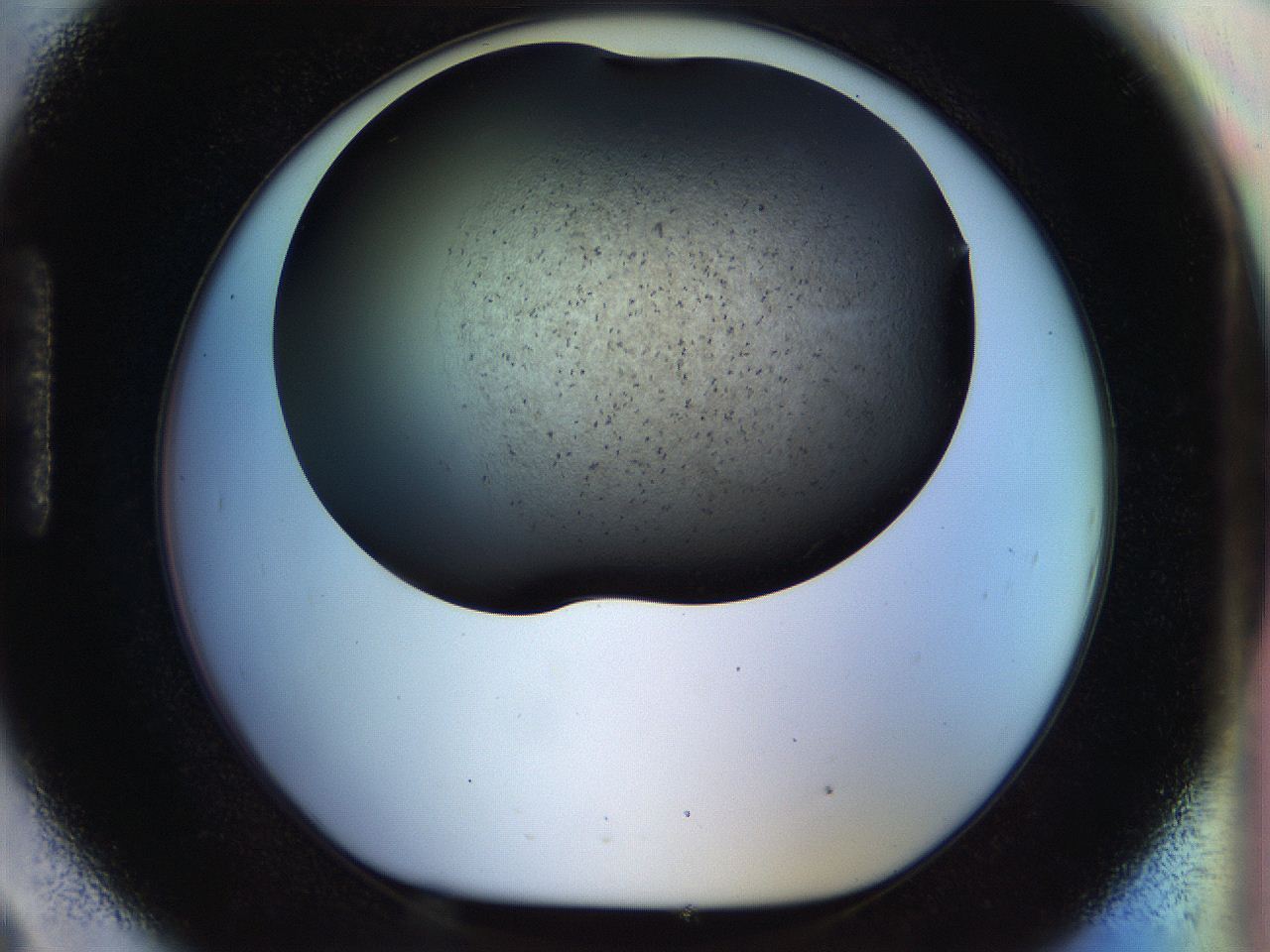 056m_H9_ImagerDefaults_6.jpg
