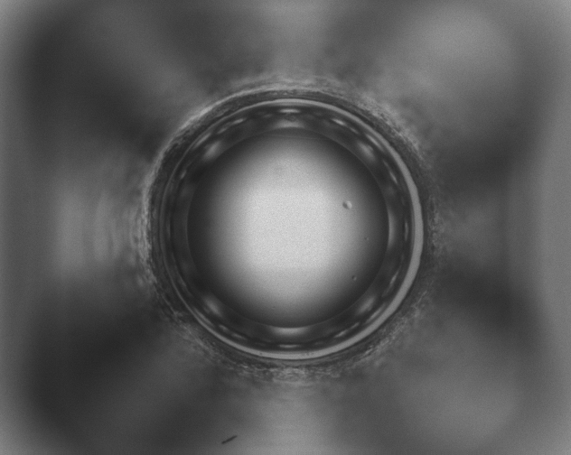 X0000047471172200503091551.png