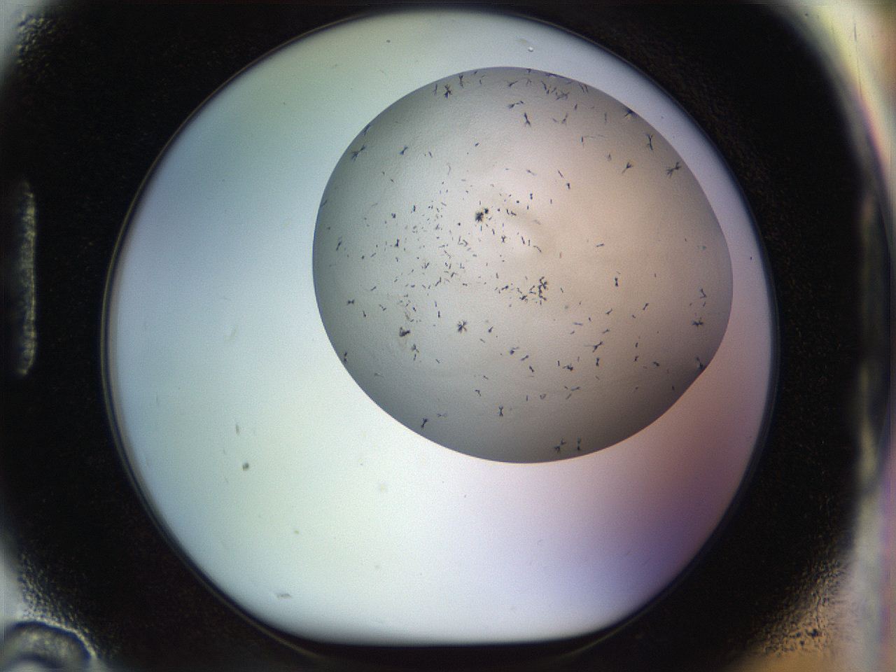 056m_H10_ImagerDefaults_6.jpg