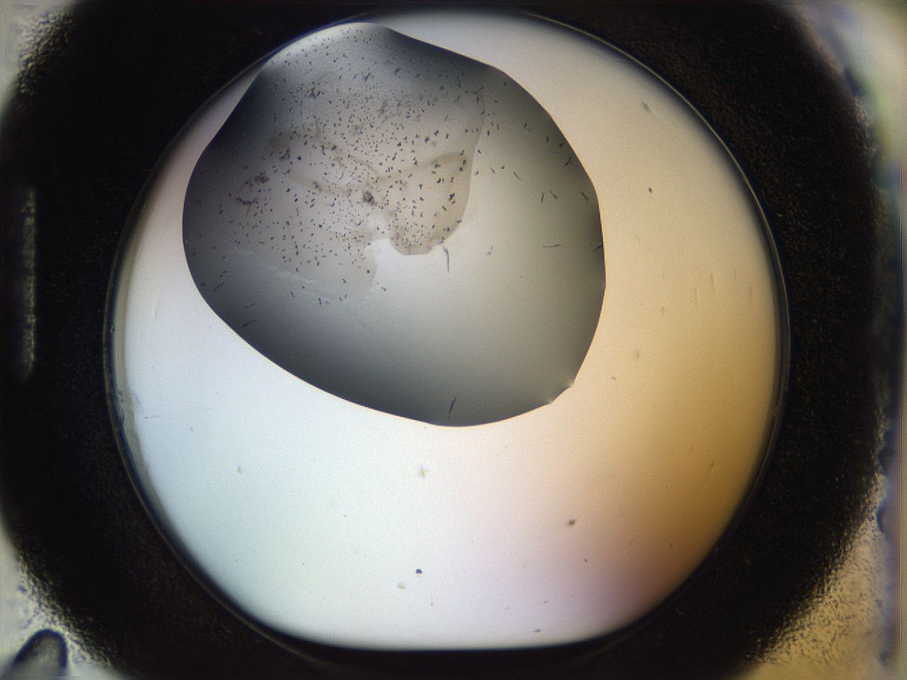 056m_H11_ImagerDefaults_6.jpg