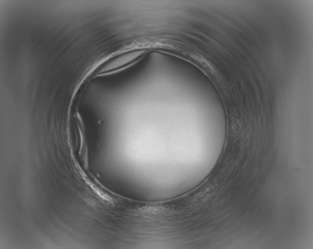 X0000055210894200508301319.png