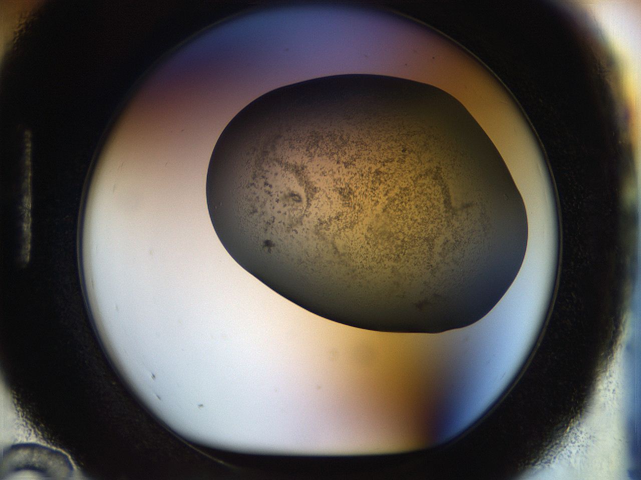 056m_H12_ImagerDefaults_3.jpg