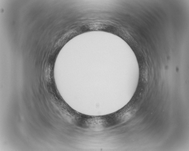 X0000054230219200508171520.png