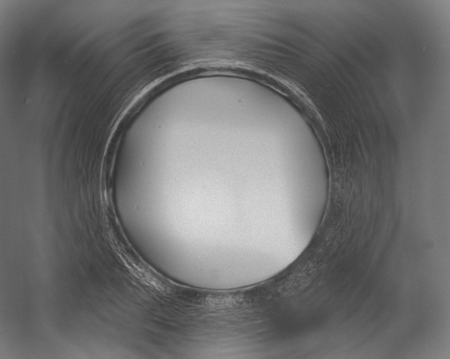 X0000055210887200508301319.png