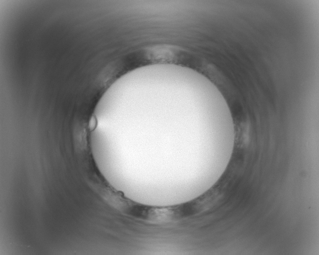 X0000054330717200508111919.png