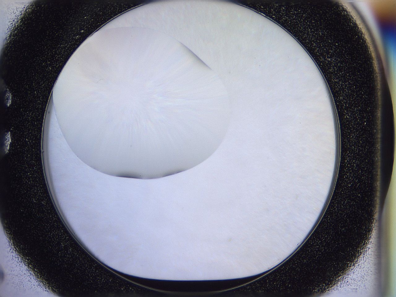 056n_C5_ImagerDefaults_0.jpg