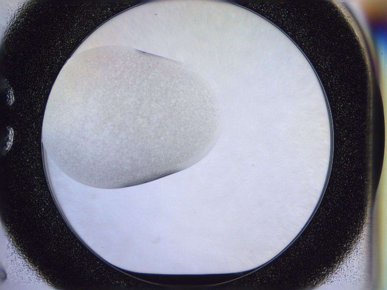 056n_C6_ImagerDefaults_2.jpg