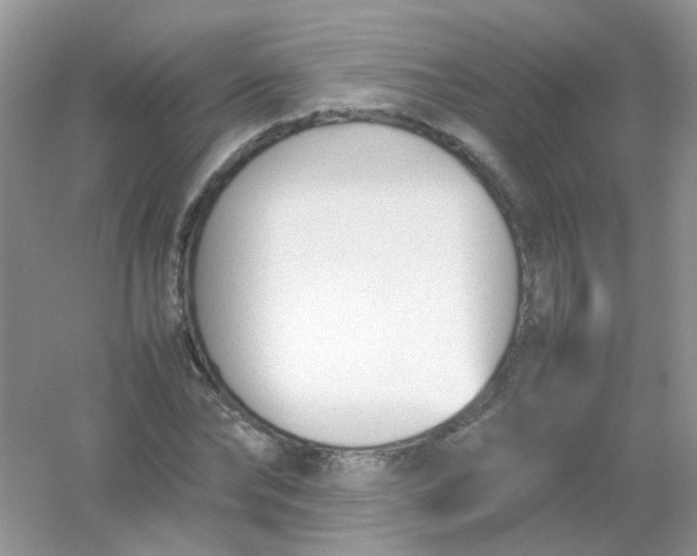 X0000054330878200508111916.png