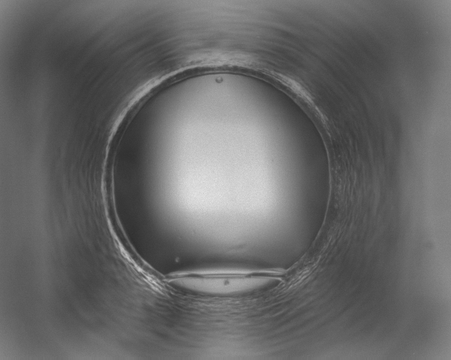 X0000055210943200508301318.png