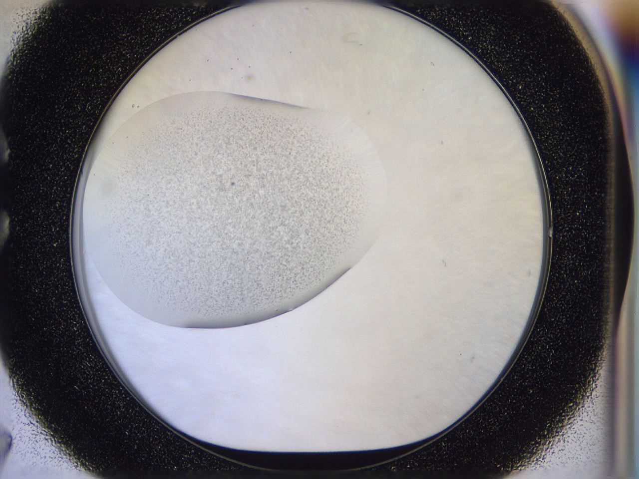 056n_C7_ImagerDefaults_2.jpg