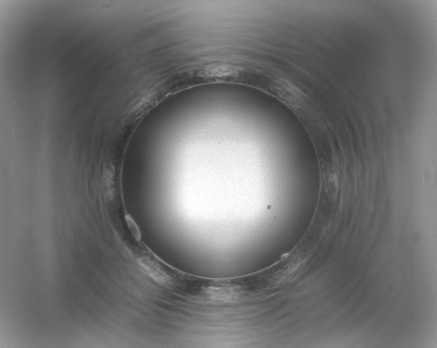 X0000054330556200508111922.png
