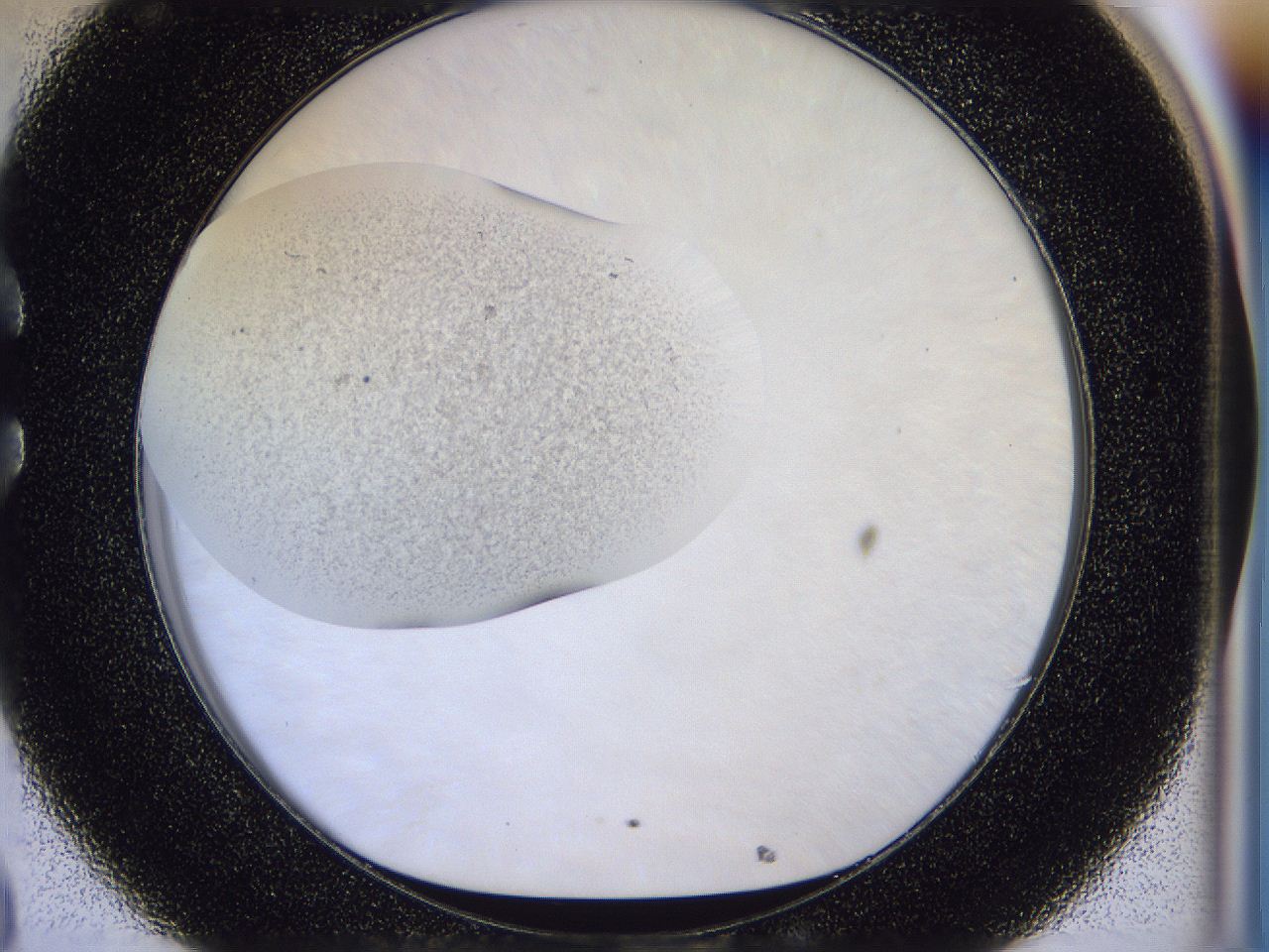 056n_C8_ImagerDefaults_2.jpg