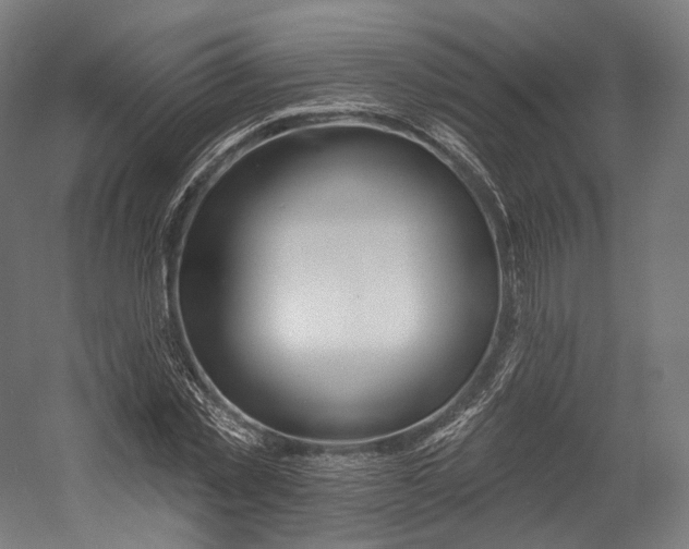 X0000055210781200508301321.png