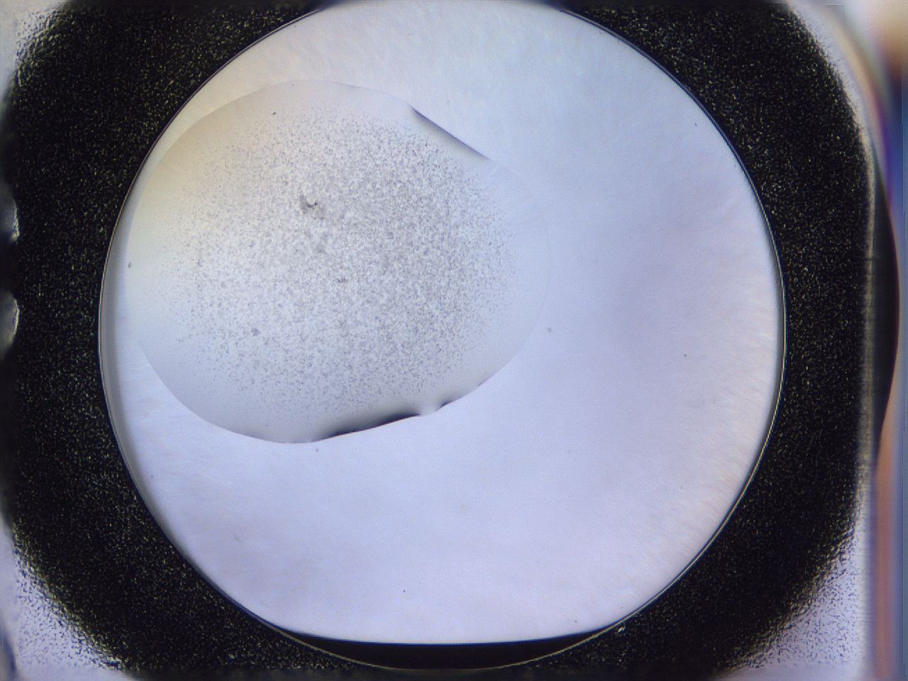056n_C9_ImagerDefaults_2.jpg