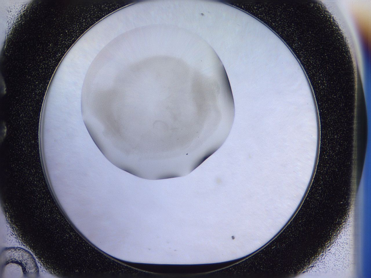 056n_C10_ImagerDefaults_2.jpg