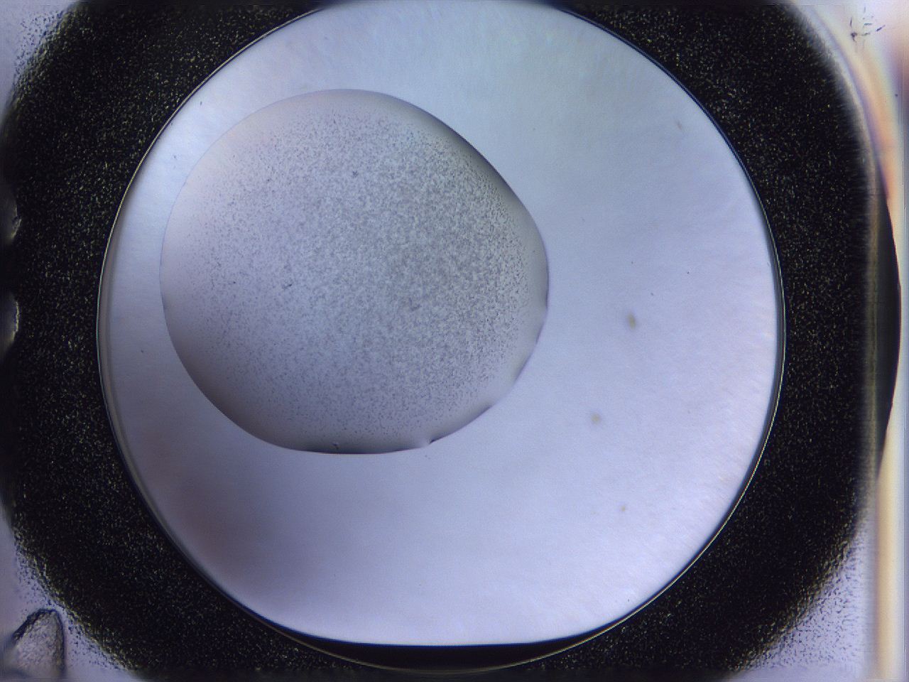 056n_C11_ImagerDefaults_2.jpg
