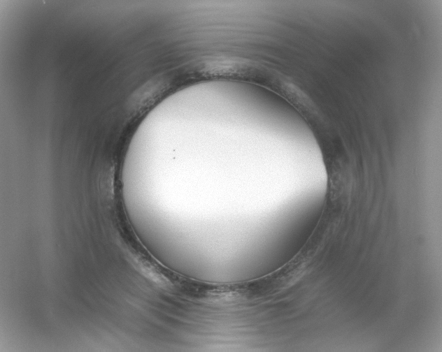 X0000054330454200508111923.png