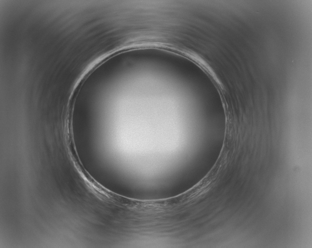 X0000055211101200508301315.png