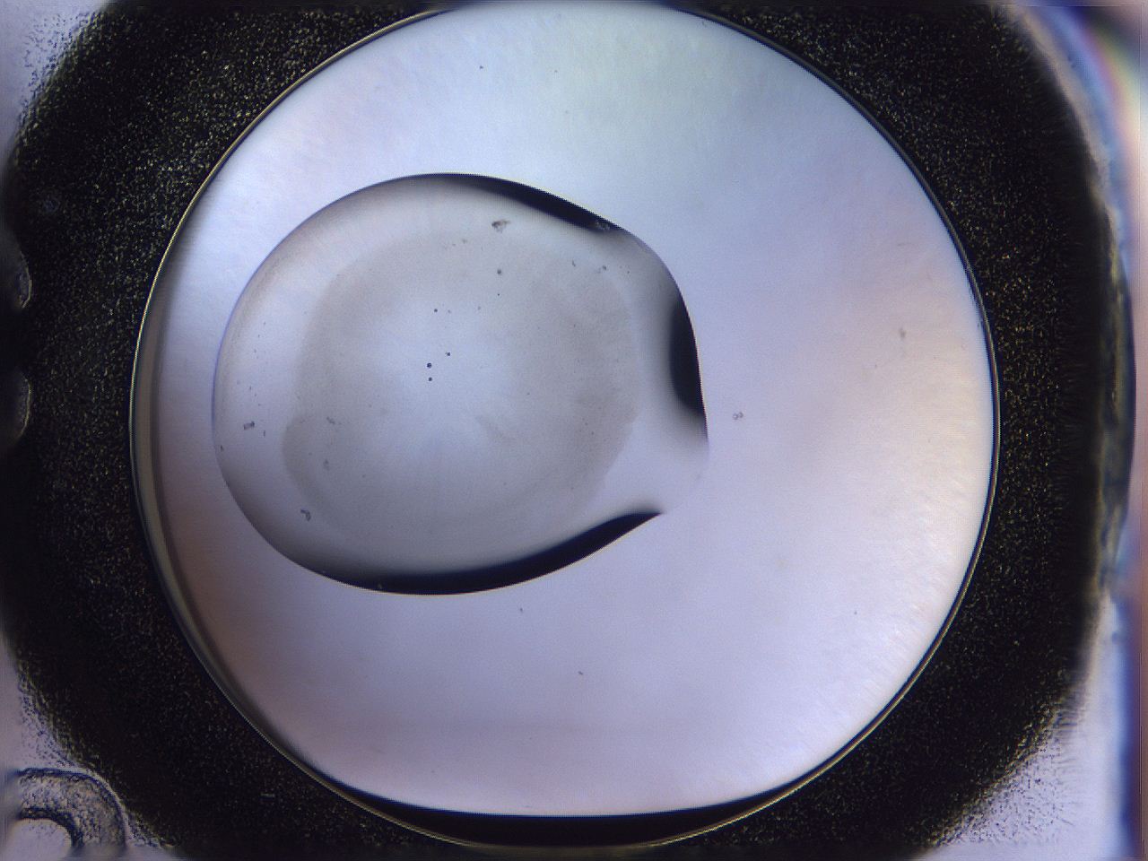 056n_C12_ImagerDefaults_2.jpg