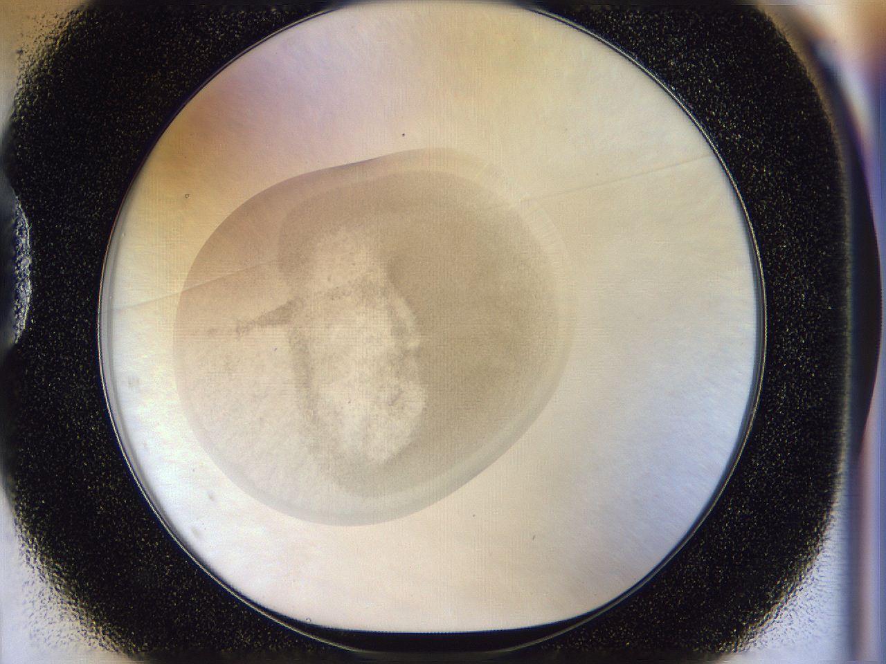 056n_D1_ImagerDefaults_2.jpg
