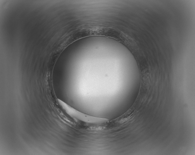 X0000055210225200508301330.png