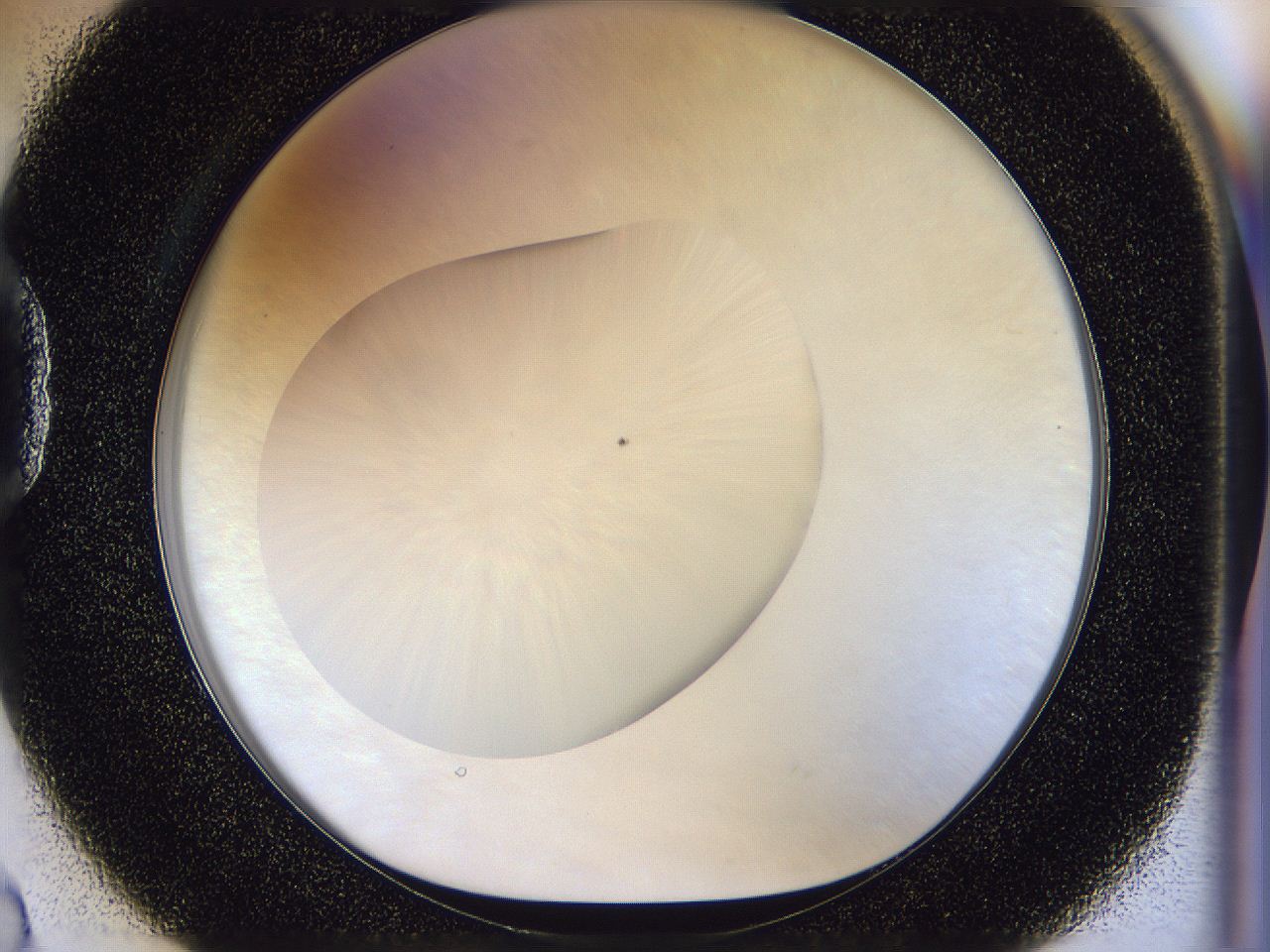 056n_D2_ImagerDefaults_0.jpg
